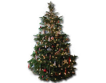 Schnittpunkt:2012: Dezember 2014